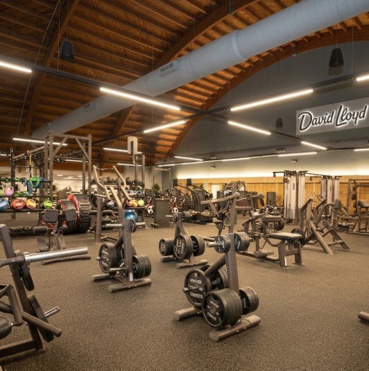 David Lloyd Heston (2)