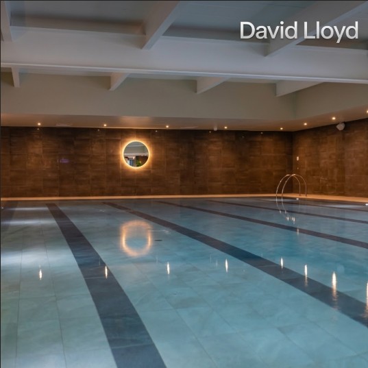 David Lloyd Heston