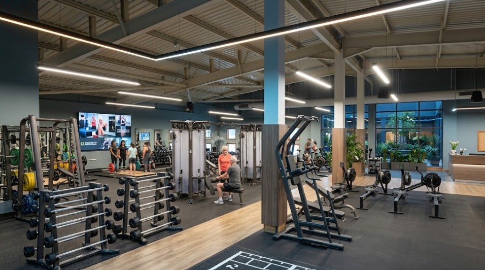 David Lloyd Gym Jobs